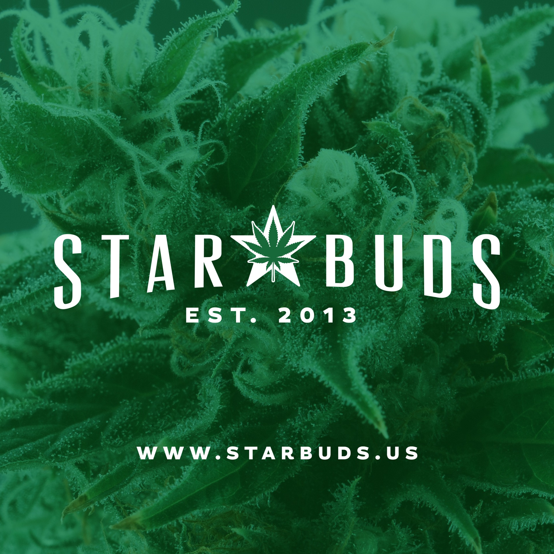 Star Buds Baltimore Deals Leafly